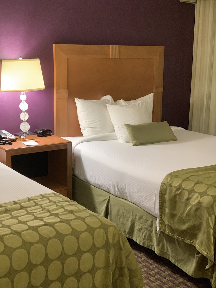 Suite, 1 Bedroom, Non Smoking (2 Queen Beds) - Photo 2