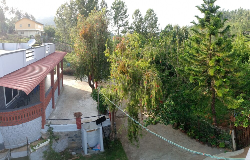 Basic Villa - Photo 6