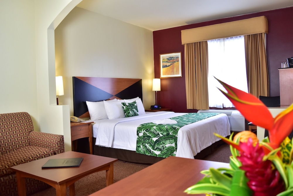 Suite, 1 King Bed with Sofa bed, Non Smoking - Photo 5