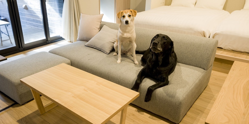 [Dog-friendly] Room for 8 People, Non Smoking - Photo 26