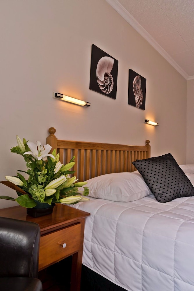 Studio, Multiple Beds photo 2
