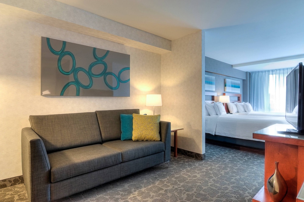 Suite, 1 King Bed, Non Smoking, No View (Terrace)