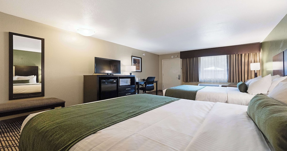 Deluxe Room, 2 Queen Beds, Non Smoking, Refrigerator & Microwave - Photo 9