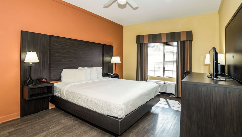 Room, 1 King Bed, Non Smoking, Refrigerator & Microwave (Handicapped) photo 2