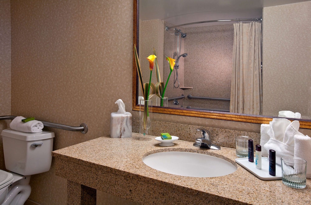 Suite, 1 King Bed, Accessible, Corner (2 Room Governor Suite, Roll-In Shower) - Photo 10