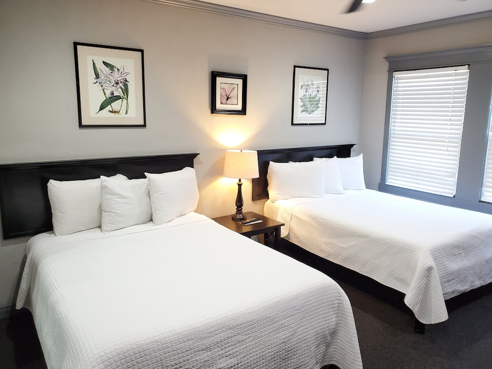Standard Single Room, 2 Queen Beds photo 1