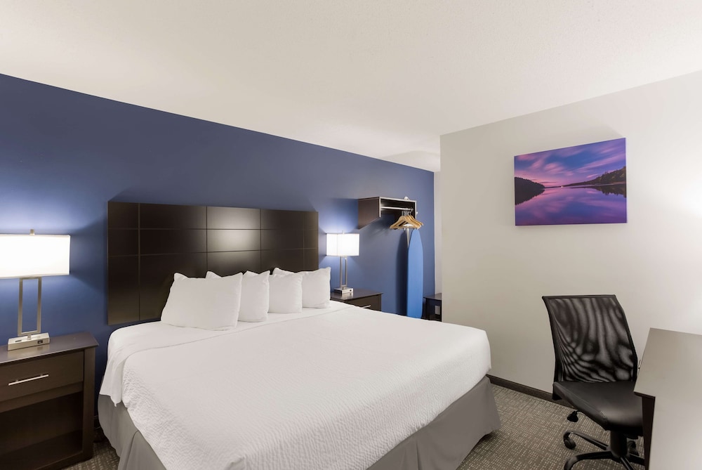 Suite, 1 King Bed, Non Smoking, Kitchenette (Pet Friendly;With Sofabed) - Photo 1