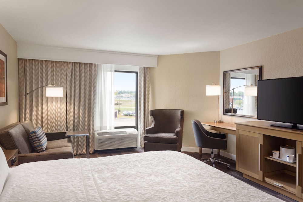 Suite, 1 King Bed, Non Smoking (Mini) photo 3