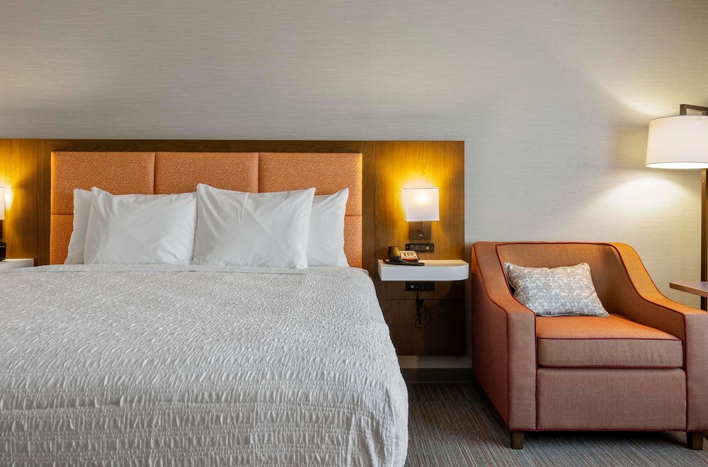 Room, 1 King Bed, Accessible, Bathtub photo 2