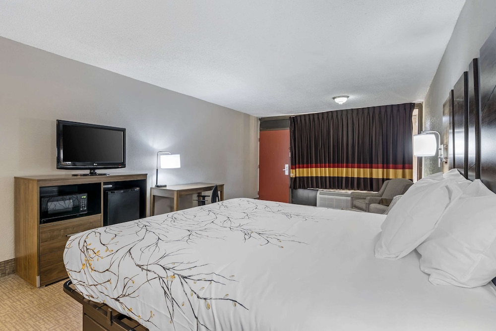 Standard Room, 1 King Bed, Non Smoking, Poolside - Photo 3