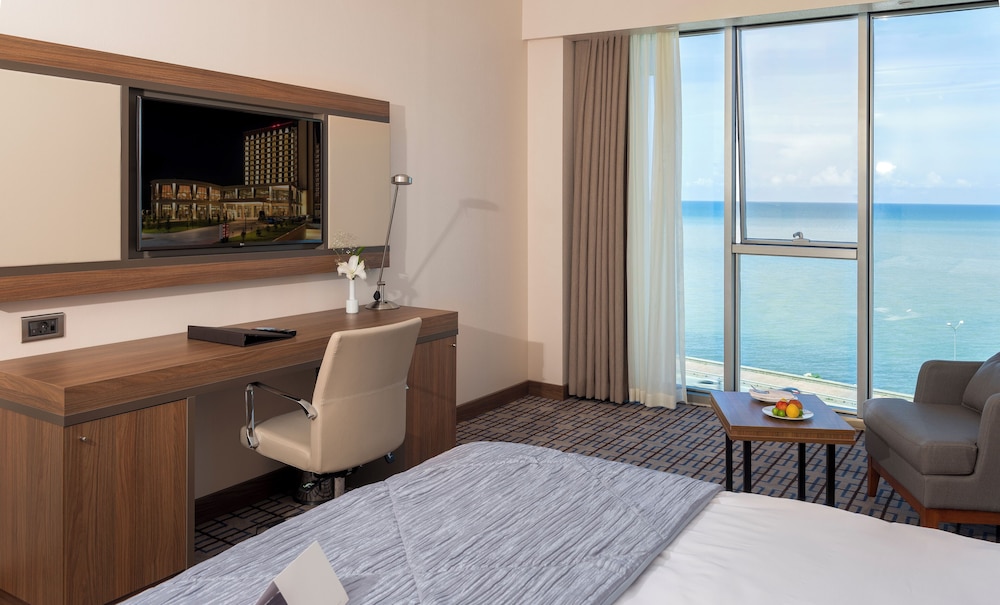 Room, 1 King Bed with Sofa bed, City View photo 3