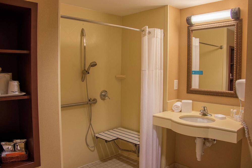 Room, 1 King Bed, Accessible - Photo 1