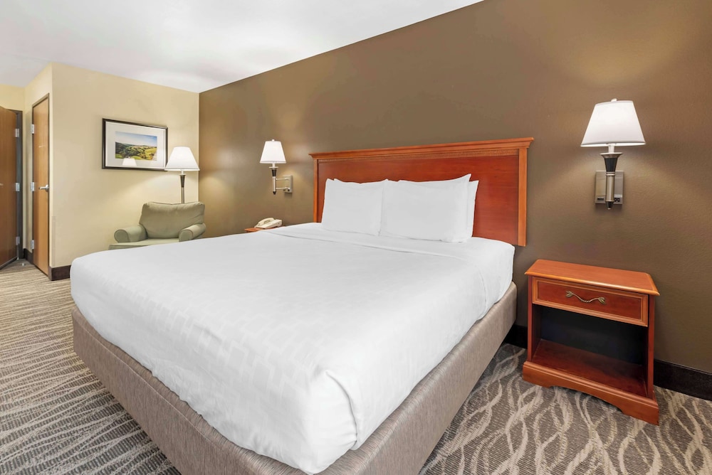 Standard Room, 1 King Bed, Non Smoking, Refrigerator & Microwave (Pet Friendly) - Photo 2