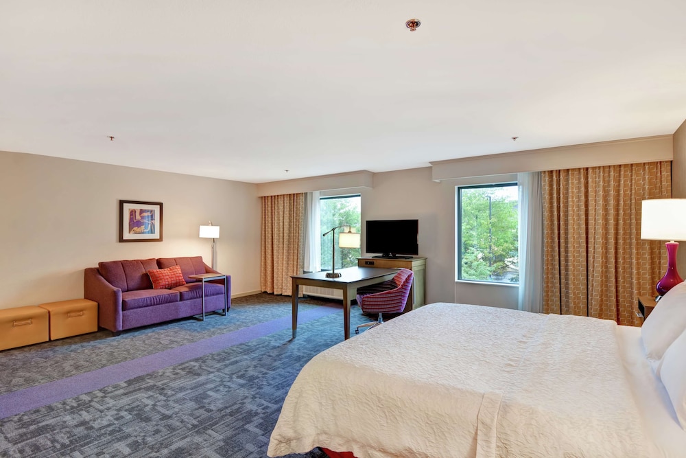 Room, 1 King Bed, Accessible, Bathtub (Mobility & Hearing)