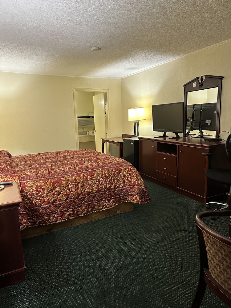 Basic Single Room photo 1
