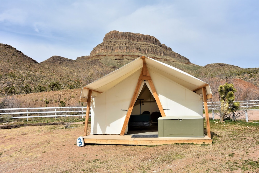 Tent (Glamping Medium) photo 1