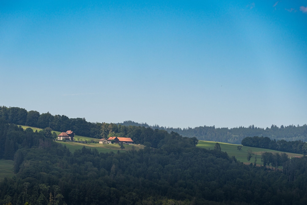 Cosy - Photo 26