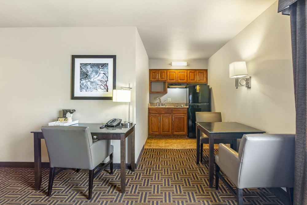 Basic Suite, 1 King Bed