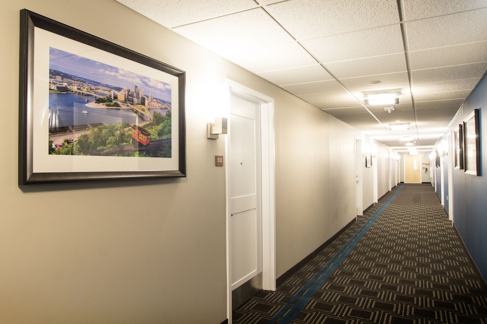 Suite, 1 Bedroom (Mobility/Hearing Access, Roll-in Shwr)