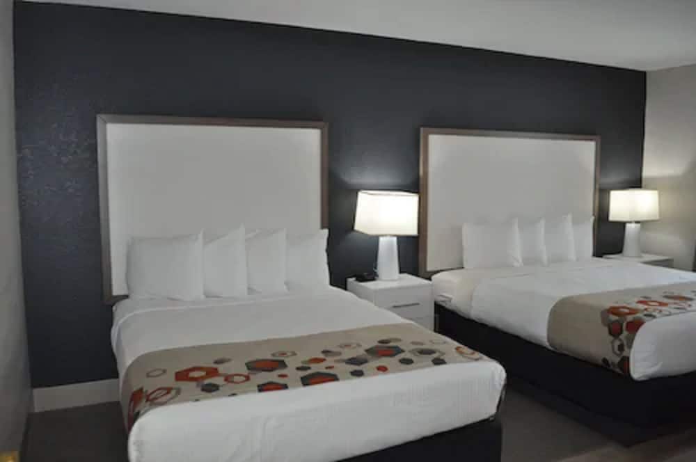Suite, Multiple Beds, Non Smoking, Microwave photo 2