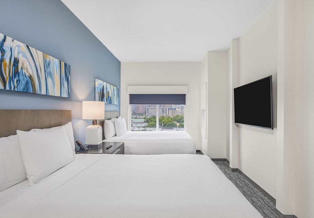 Suite, 1 Bedroom, Kitchen photo 2