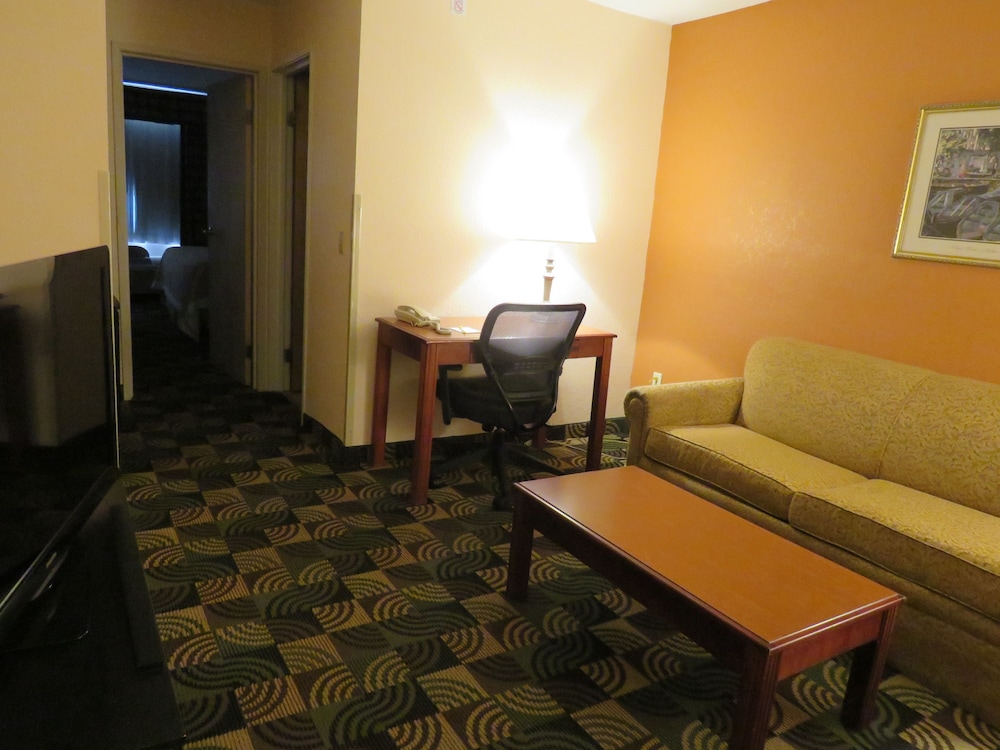 Suite, 1 Bedroom - Photo 4