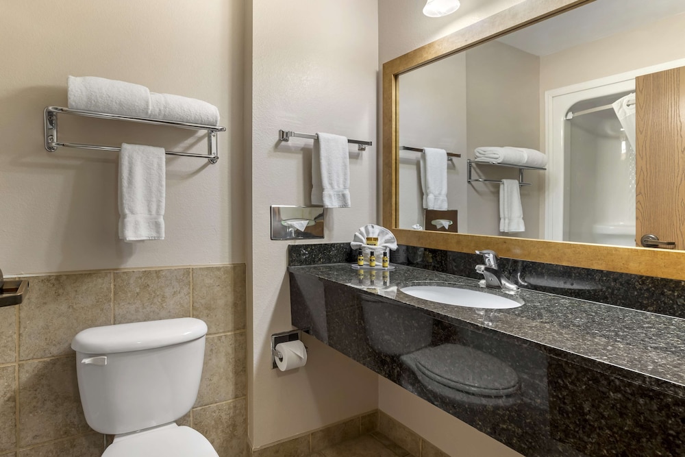 Standard Room, 1 King Bed, Accessible, Jetted Tub - Photo 3