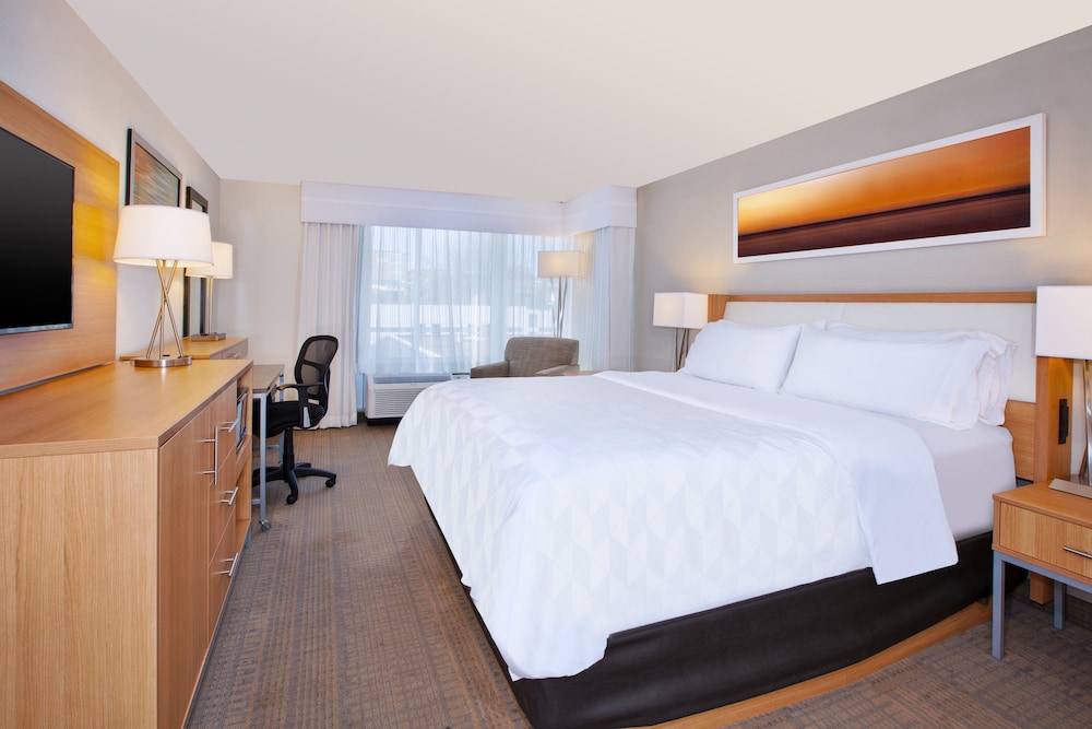 Suite, 1 King Bed, Accessible (Communications, Accessible Tub)