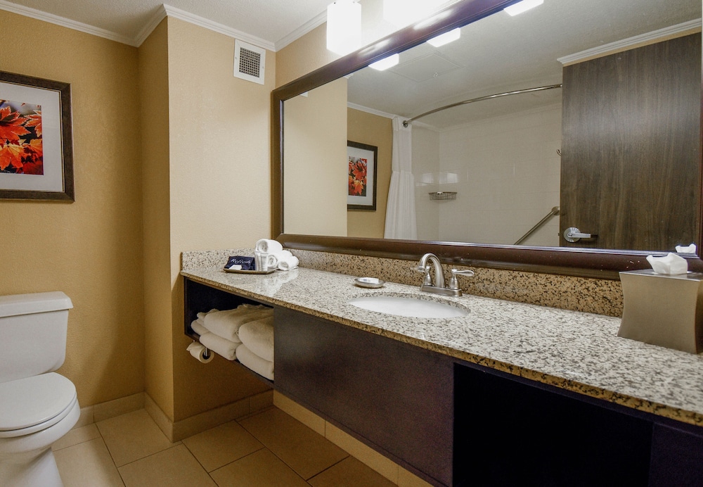 Standard King - Photo 5