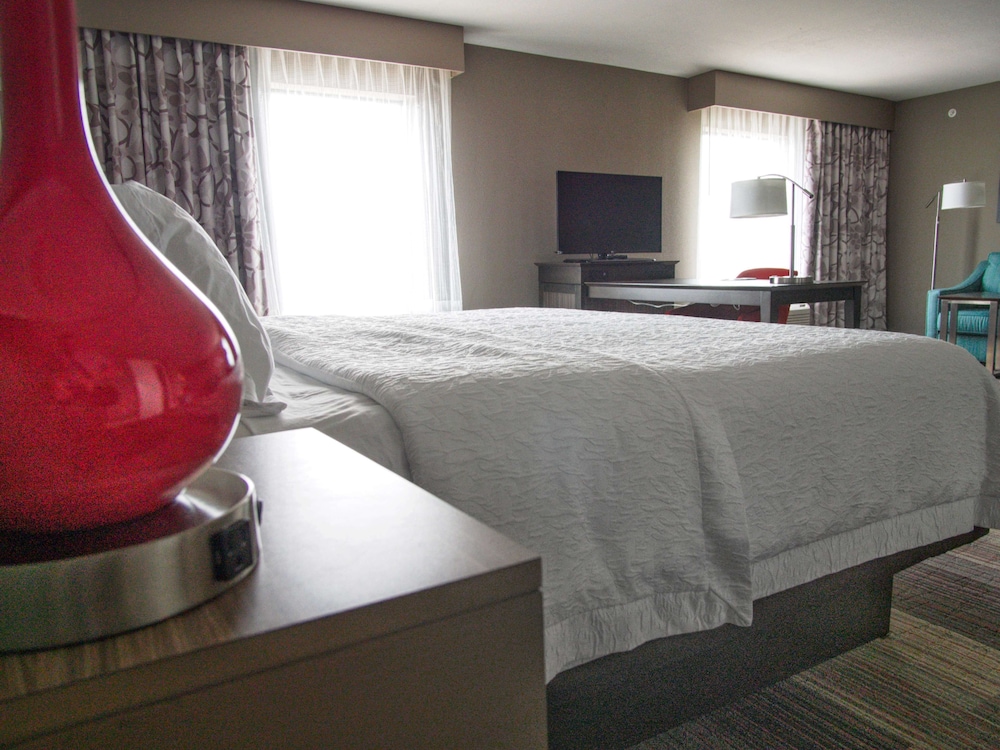 Room, 1 King Bed, Smoking, Refrigerator & Microwave (w/ wetbar) photo 3