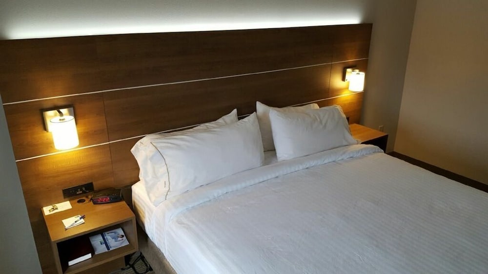 Suite, 1 King Bed photo 3