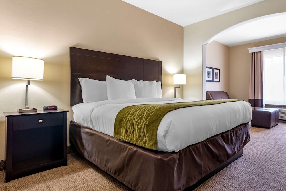 Suite, 1 King Bed with Sofa bed, Accessible, Non Smoking (Efficiency) - Photo 1