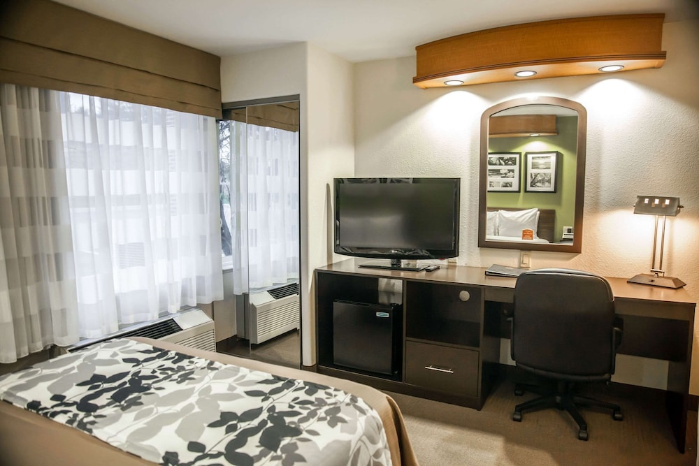 Room, 1 Queen Bed, Accessible, Non Smoking photo 3