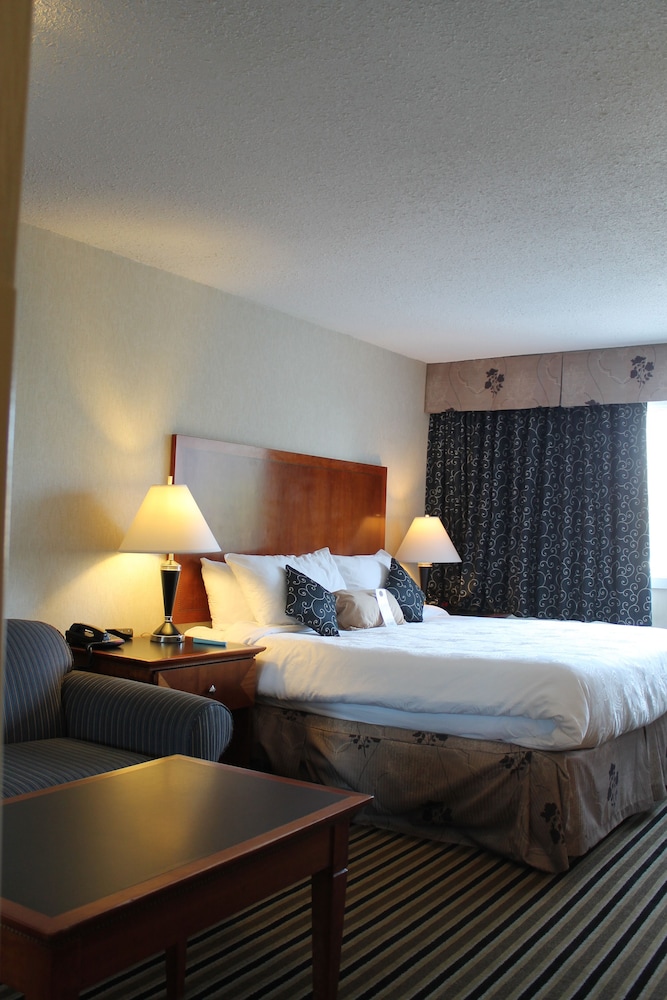 Executive Room, 1 King Bed, Non Smoking, Refrigerator & Microwave thumbnail 5