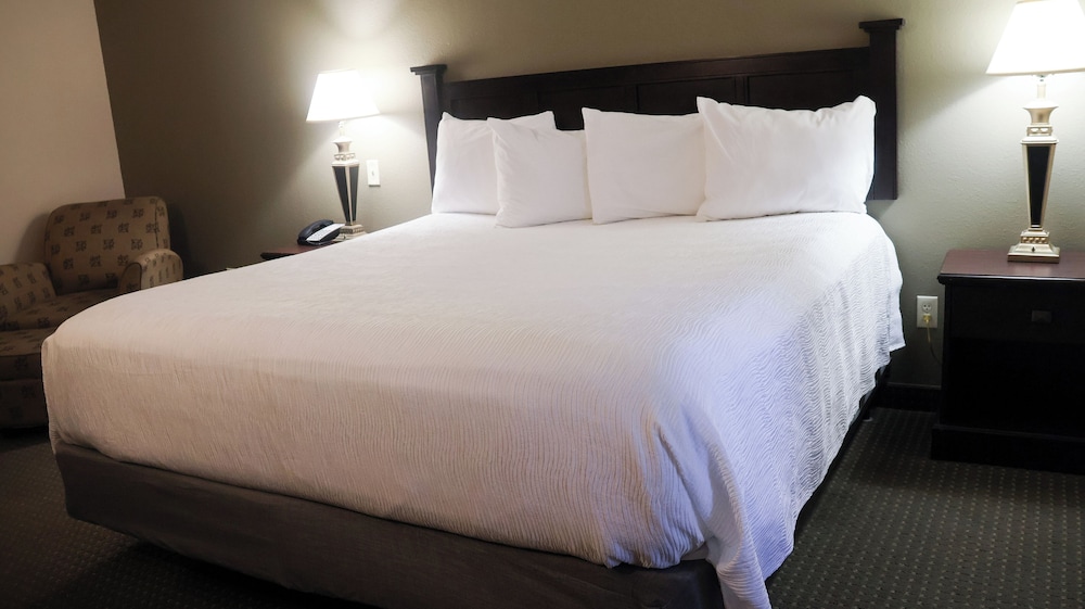 Room, 1 King Bed, Accessible, Non Smoking (Bathtub with Grab Bars) - Photo 1
