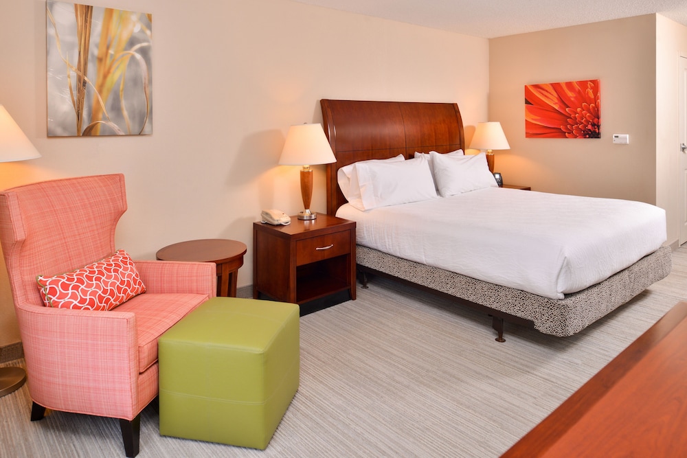 Junior Suite, 1 King Bed - Photo 1