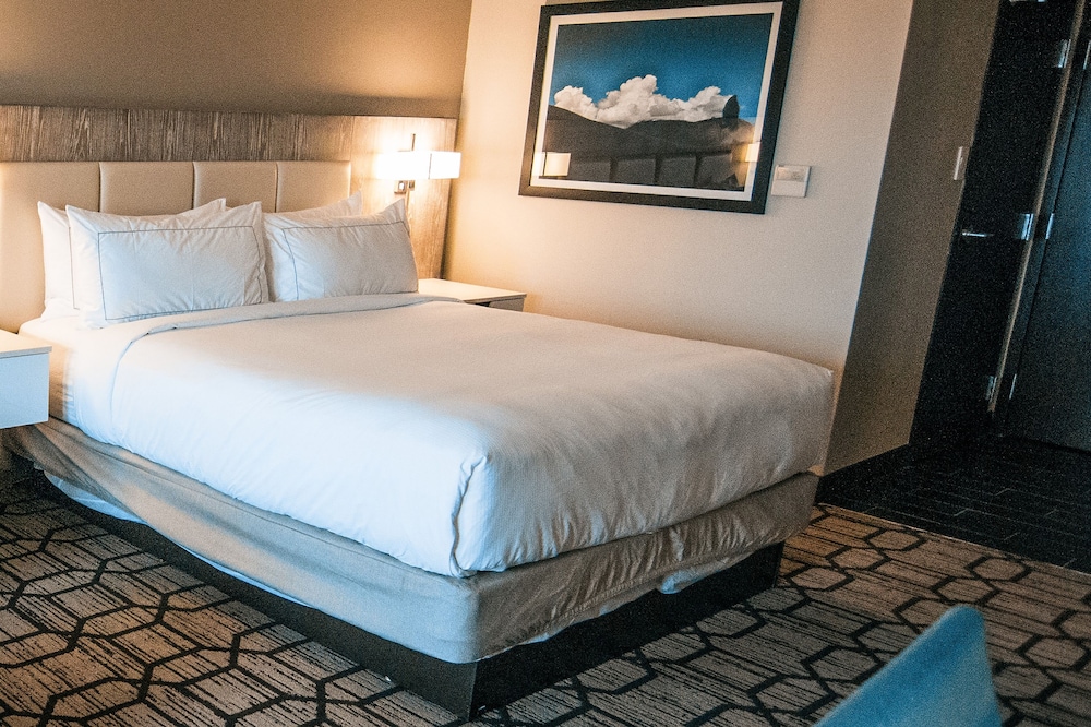 Suite, 1 King Bed (Mobility & Hearing, Roll-in Shower) - Photo 3