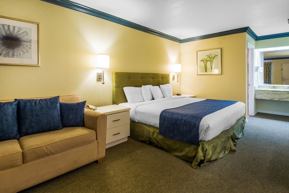 Single Room, 1 King Bed with Sofa bed, Non Smoking photo 1