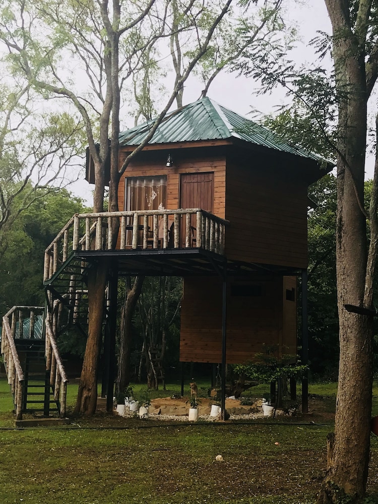 Deluxe Tree House photo 2