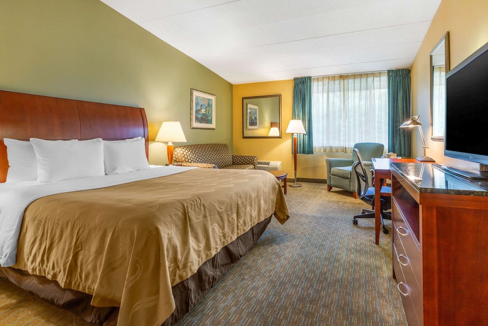 Standard Room, 1 King Bed with Sofa bed, Non Smoking photo 1
