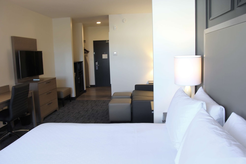 Suite, 1 King Bed, Non Smoking, Refrigerator & Microwave (Shower Only;with Sofabed) - Photo 2