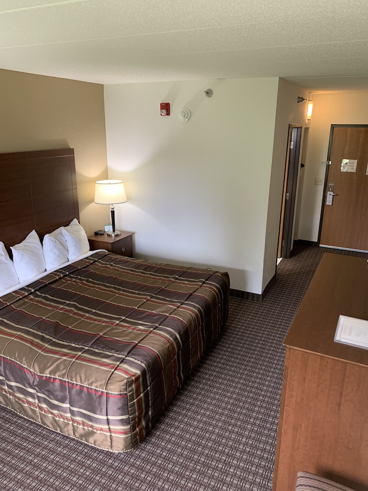 Junior Room, 1 King Bed, Refrigerator & Microwave photo 2