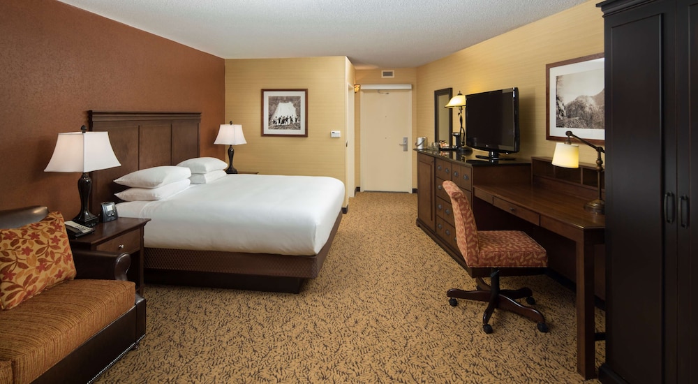 Room, 1 King Bed, Accessible, Bathtub (Mobility & Hearing) - Photo 1