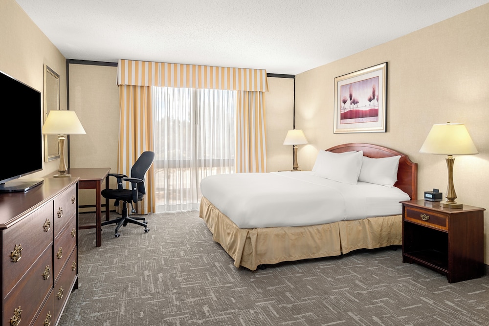 Standard Single Room photo 1