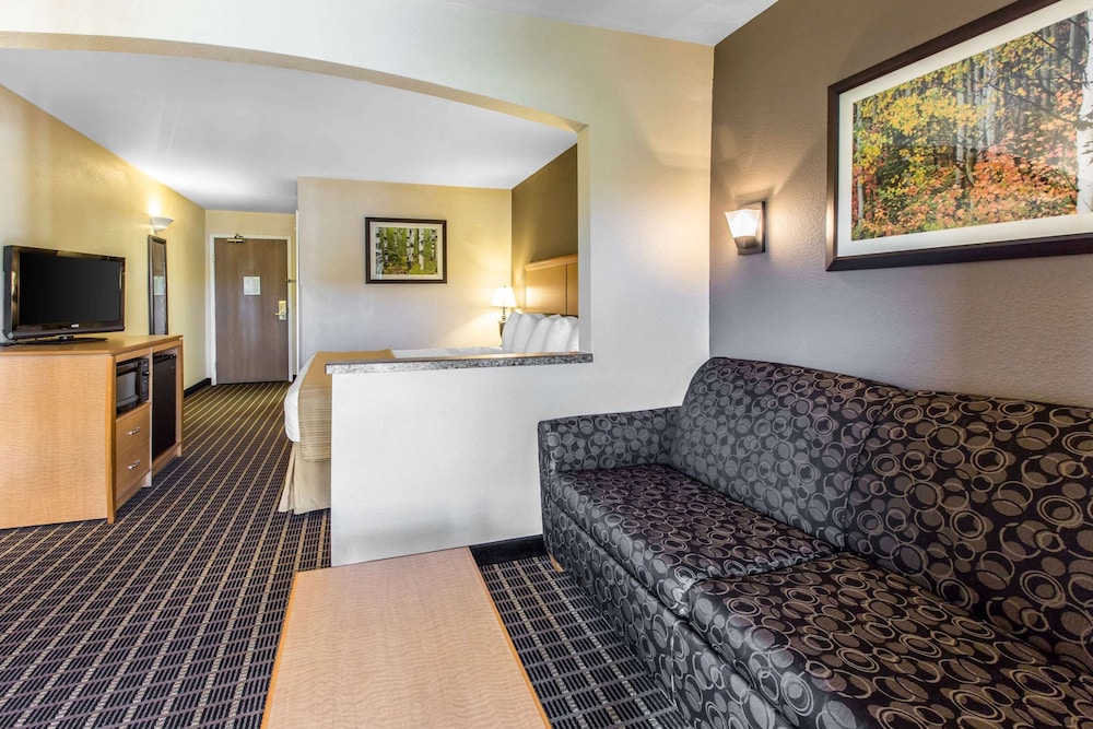 Suite, 1 King Bed with Sofa bed, Non Smoking (Efficiency) - Photo 4