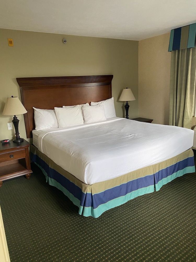 Premium Suite