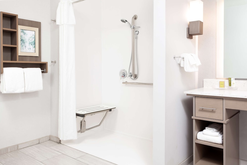 Studio, 1 King Bed, Accessible (Roll-In Shower) - Photo 7