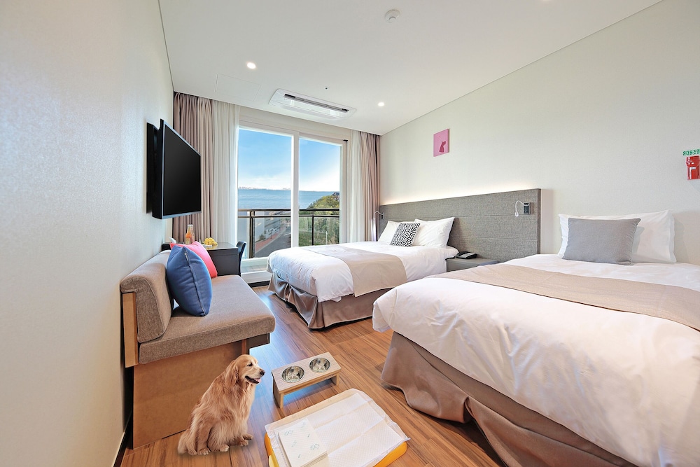 Premier Family Twin Room, Park Ocean View (Dog Friendly, Assigned 4th Floor)