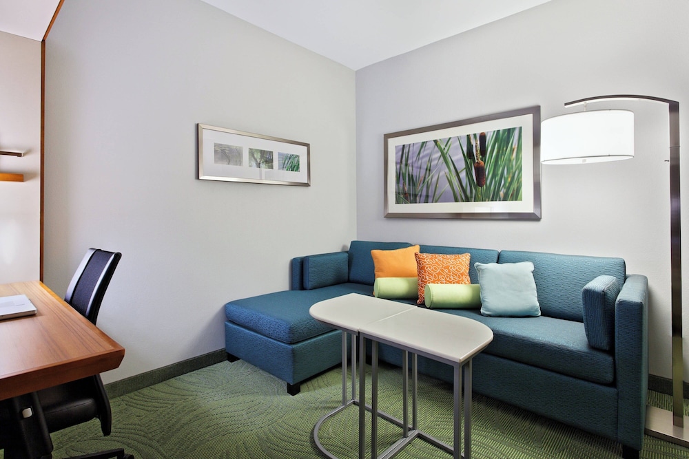 Studio, Multiple Beds (Mobility/Hearing Access, Roll-in Shwr) photo 3