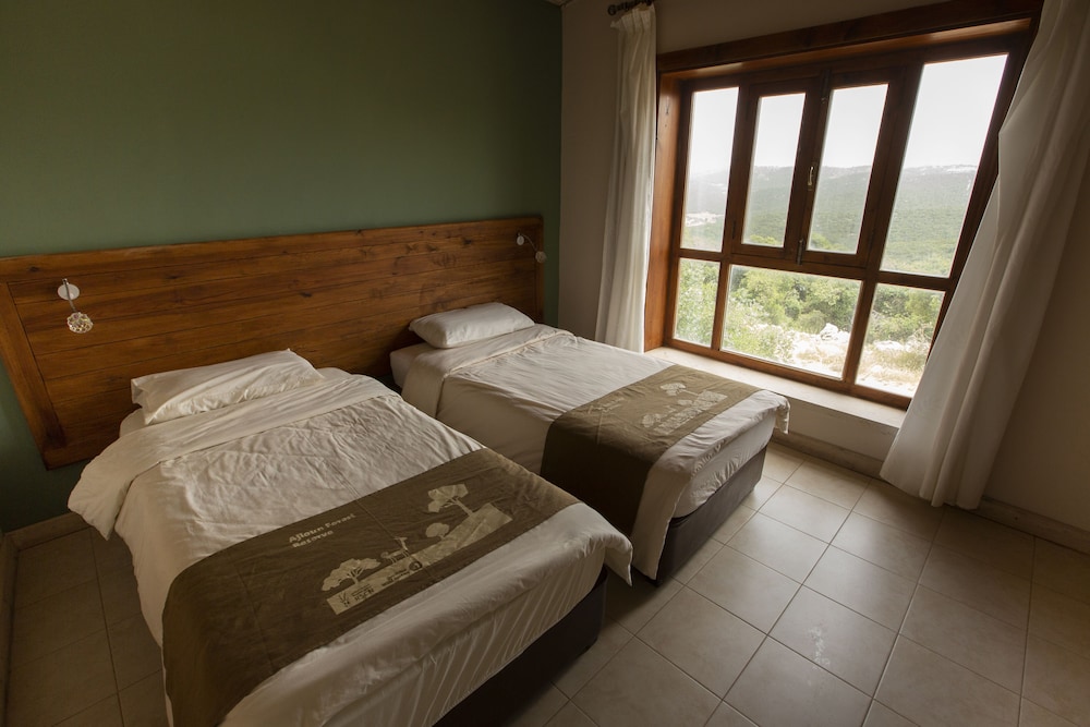 Deluxe Cabin photo 2